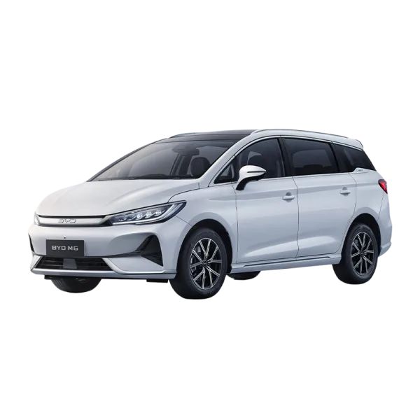BYD M6